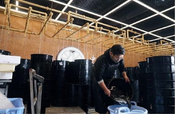 うなぎの貯蔵施設